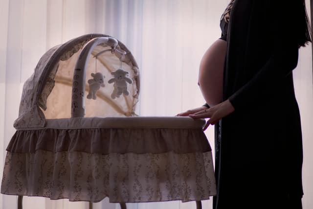 Postpartum Doula